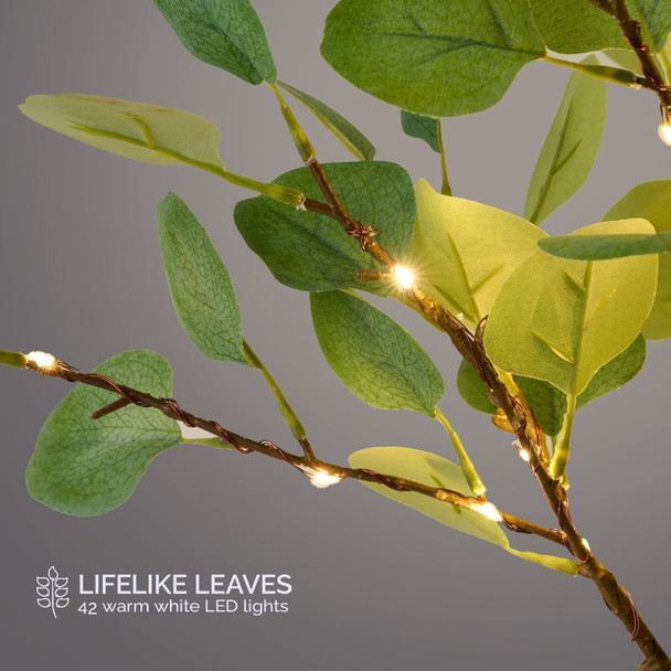 Bexdir Lighted Tabletop Eucalyptus Tree with Timer, 24.8IN 42 LED Bonsai Tree Light, Battery & USB Powered Tree Table Light, Night Light, Artificial Plant for Home Spring Christmas Party Wedding Decor