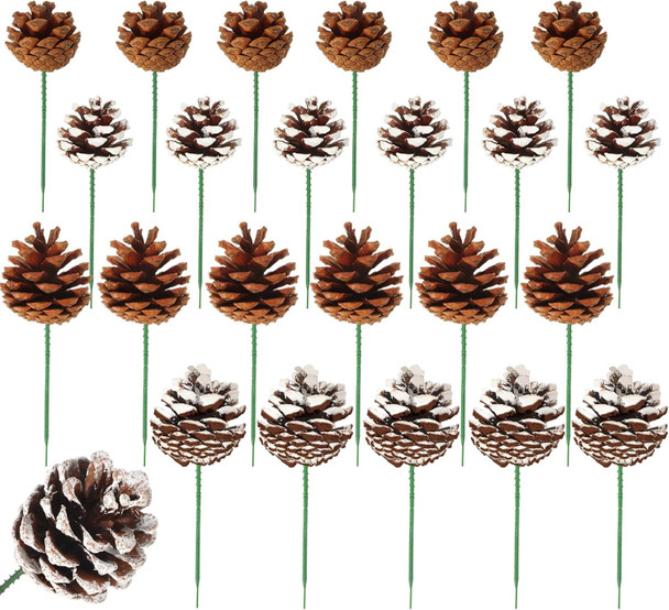 Crowye 24 Pcs Pinecones Natural Christmas Pine Cones 2.4''-3.1'' Large Pine Cone, 1.5''-2.4'' Small Pine Cone for Xmas Tree Garland Wreath Ornament Pinecone Decorating Winter (Primary Colors, White)