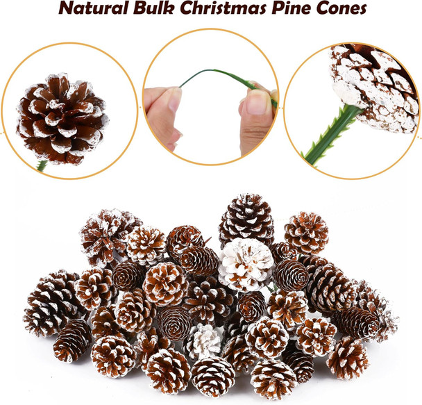 42 Pieces Natural Christmas Pine Cones Assorted Sizes 1.6-4 Inch Tiny Pinecone with Wired Pick Christmas Rustic Pine Cones Bulk Ornaments for Christmas Tree Home Party Holiday Decoration