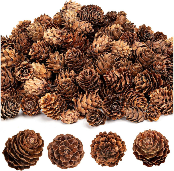 250Pcs Christmas Mini Pine Cones, Small Natural Pine Cones for Christmas Wreath Craft, Tiny Pinecones for Decor Vase Fillers, Thanksgiving, Home Decor