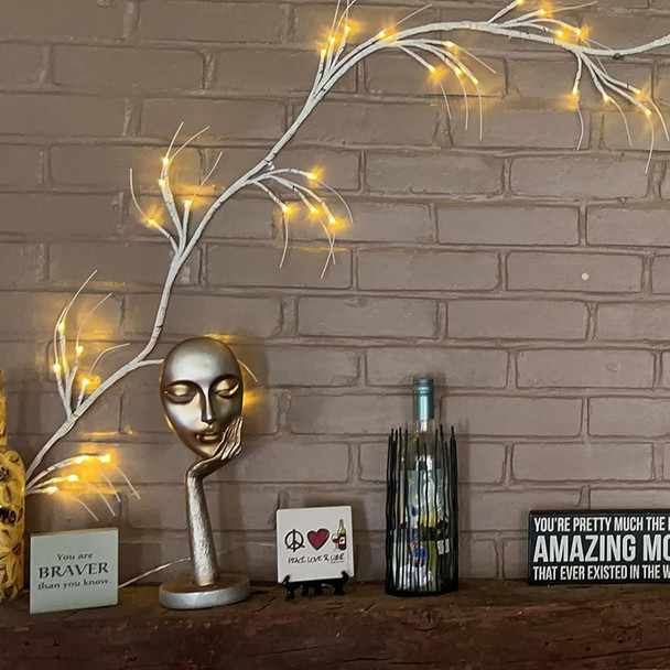 Hypestar Lighted Garland with Birch Branches 6FT 48 Warm Lights, Lighted Birch Garland with Timer,Pre Lit Birch Garlands for Bedroom Wall Chrismtas Indoor Decorations (Battery Operated-707)