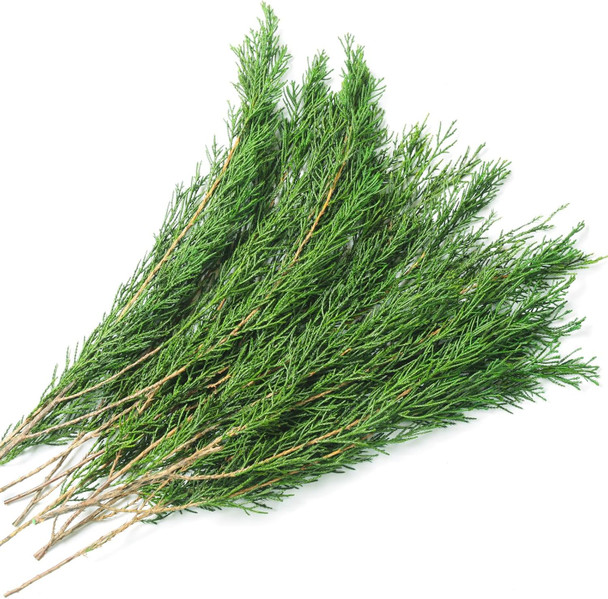 Preserved Real Pine Leaves Branches, 17'' Natural Pine Needles Green Plants, 3.5OZ Greenery Pine Twigs Stems, Evergreen Pine Picks for Christmas Garland Wreath Home Wedding Decor Floral Arrangements