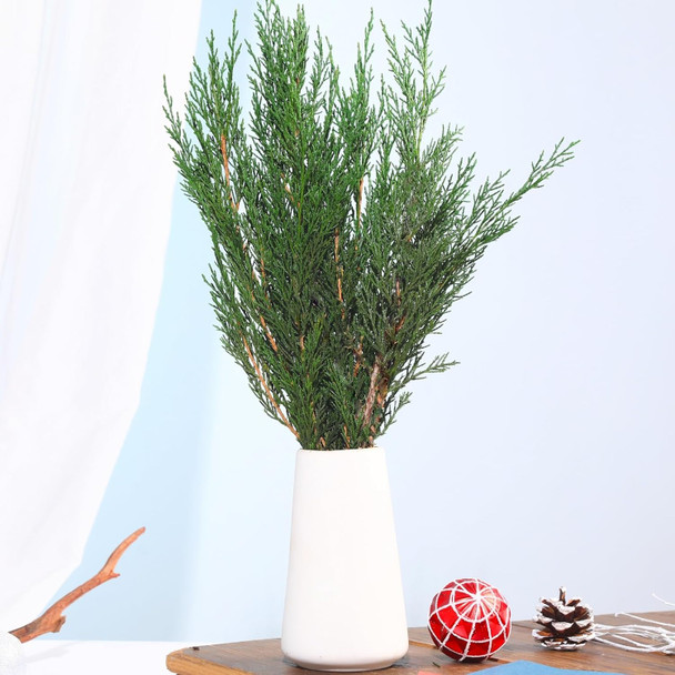 Preserved Real Pine Leaves Branches, 17'' Natural Pine Needles Green Plants, 3.5OZ Greenery Pine Twigs Stems, Evergreen Pine Picks for Christmas Garland Wreath Home Wedding Decor Floral Arrangements