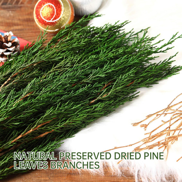 Preserved Real Pine Leaves Branches, 17'' Natural Pine Needles Green Plants, 3.5OZ Greenery Pine Twigs Stems, Evergreen Pine Picks for Christmas Garland Wreath Home Wedding Decor Floral Arrangements