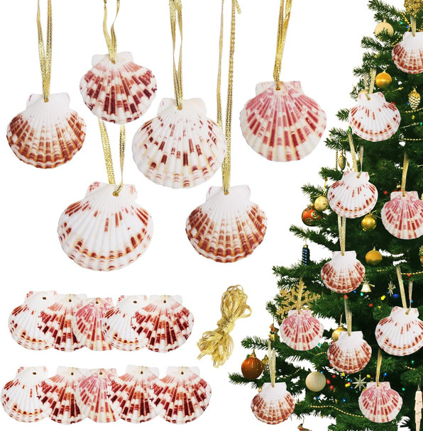 Christmas Seashells Beach Ornaments 10pcs, 2-3 Inch Hanging Scallop Shells for Decorating, Natural Beach Decorations for Home DIY Decor Wreath