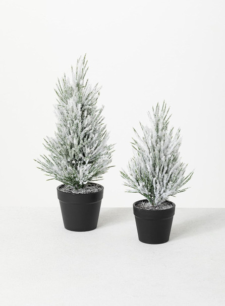 Sullivans Flocked Christmas Pine Tree Set of 2, Christmas Decor, Mini Christmas Trees, Christmas Decorations Indoor Home Decor, Flocked Trees, Artificial Christmas Trees, Tabletop Christmas Decor