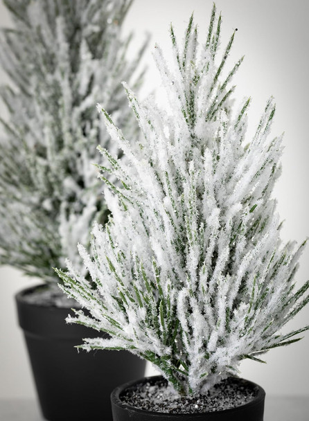 Sullivans Flocked Christmas Pine Tree Set of 2, Christmas Decor, Mini Christmas Trees, Christmas Decorations Indoor Home Decor, Flocked Trees, Artificial Christmas Trees, Tabletop Christmas Decor