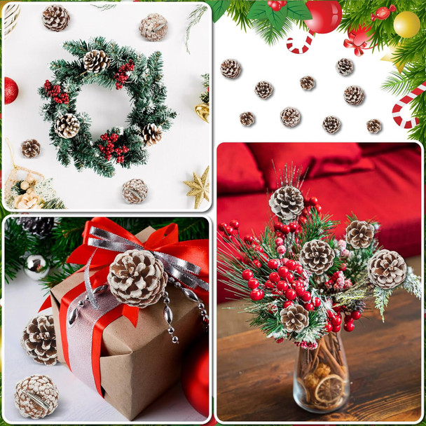 24 Pcs Pine Cone for Christmas Tree Pinecone Christmas Ornament 3 Size Pine Cone for Craft Decorating with Silver Metal Clip Rustic Pinecones Farmhouse Christmas Decoration Wreath DIY (Snow)