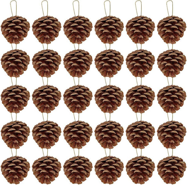 Winlyn 30 Pcs Christmas Hanging Real Preserved Pine Cones Ornaments 2"-3" Tall Christmas Tree Hanging Pinecone Ornaments