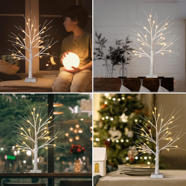 Woohaha 2FT Lighted Birch Tree with 24L Warm White LEDs,Mothers Day Decoration,Battery Powered Timer Money Tree,Artificial Mini Christmas Tree Card Tree for Home Party Wedding
