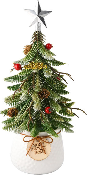 Mini Tabletop Christmas Tree, 14 Inch Artificial Small Xmas Tree with Red Berry, Pine Cone, Fake Greenery for Table Top Office Desk Classroom Room Holiday Christmas Decor(Silver Star)