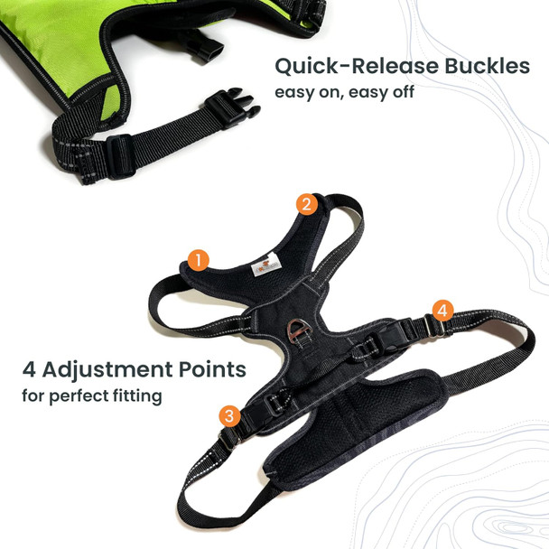 Dog Harness (Large, Black)