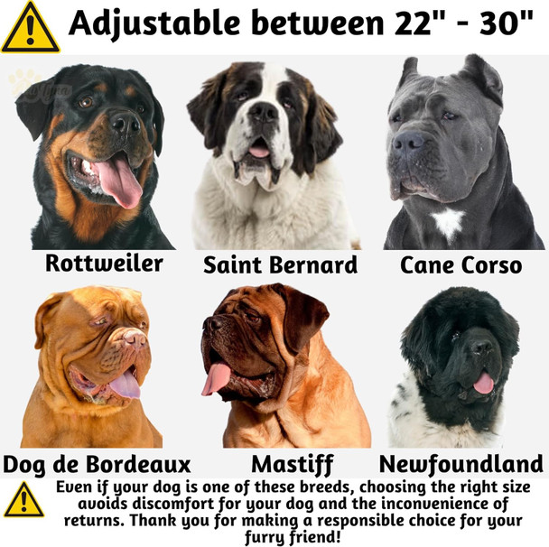 Adityna - Heavy-Duty Premium Leather Dog Collar For Extra-Large Dogs - Padded With Soft Genuine Leather For A Cozy Feel