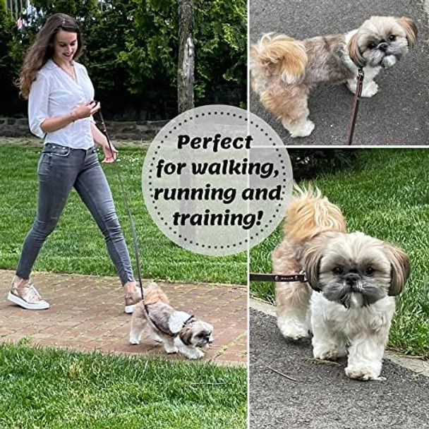 Adityna - Premium Leather Dog Leash - 6 Ft, Heavy-Duty, Soft & Strong For Small/Medium Dogs (Small: 6 Ft X 1/2, Brown)