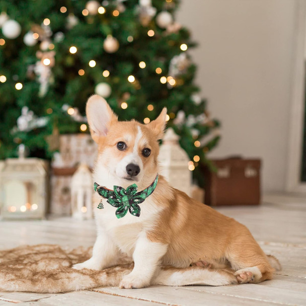 Adoggygo Christmas Dog Collar With Flower, Plaid Dog Christmas Collar With Removable Floral Adjustable Christmas Collars For Medium Dog (Medium) Adoggygo Christmas Dog Collar With Flower, Plaid Dog Christmas Collar With Removable Floral Adjustable Christmas Collars For Medium Dog (Medium)