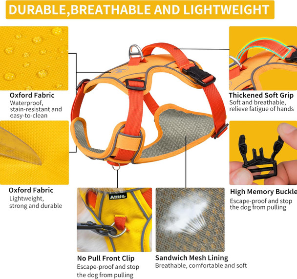 Aiitle Breathable Mesh-Lined Dog Harness With A Leash - Waterproof Lightweight Oxford Cloth Pet Harness With Double Reflective Design, Adjustable No Pull Pet Supplies For Puppy Small Dogs Orange Xs