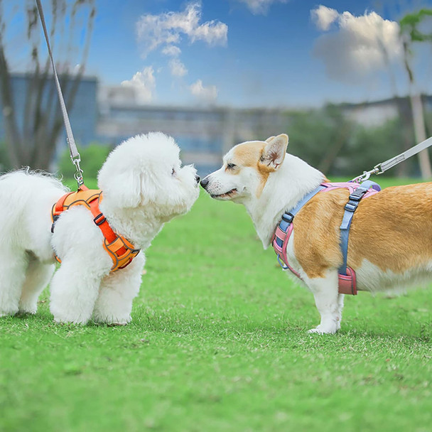 Aiitle Adjustable Dog Harness With Padded For All Weather, No Pull Pet Harness With Waterproof Wear-Resisting Oxford Fabric, Reflective Escape Proof Vest Harness For Small And Medium Dogs Pink S