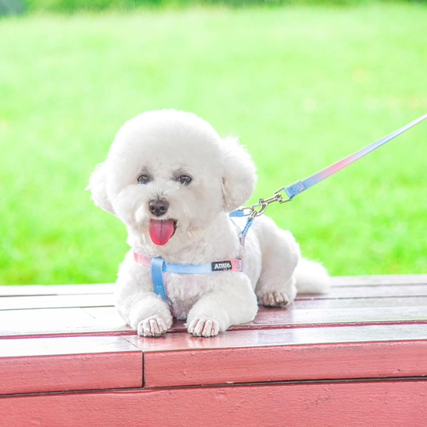 Aiitle Dog Harness And Leash Set - No Pull Pet Harness Soft Adjustable Nylon Step In Puppy Vest Outdoor Walking - Transparent Buckle - Training Running For Extra Small Dogs,Yellow-Pink Gradient Xs