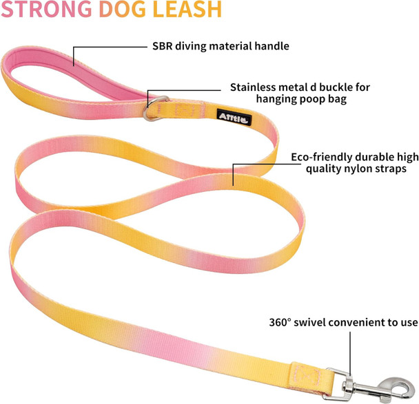 Aiitle Dog Harness And Leash Set - No Pull Pet Harness Soft Adjustable Nylon Step In Puppy Vest Outdoor Walking - Transparent Buckle - Training Running For Extra Small Dogs,Yellow-Pink Gradient Xs