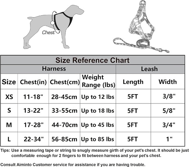 Dog Halter Harness And Leash Set, Cute Floral Patterns, Soft And Adjustable Harness, Step In, Anti-Choke — Perfect For Walking (Harness Leash Set (Green), M (Chest 17-28))