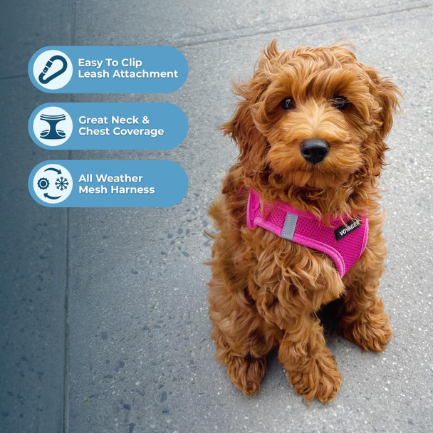 Voyager Step-In Air Dog Harness - All Weather Mesh Step In Vest Harness For Small And Medium Dogs And Cats By Best Pet Supplies - Harness (Fuchsia), S (Chest: 14.5-16)