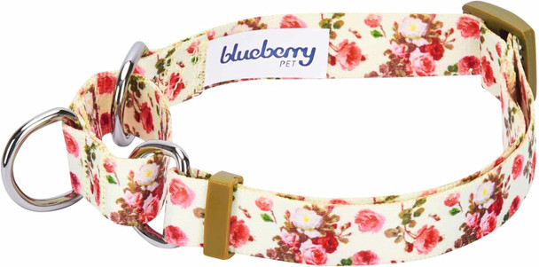 Blueberry Pet Spring Scent Inspired Rose Print Martingale Safety Training Dog Collar, Ivory, Large, Heavy Duty Adjustable Collars For Dogs