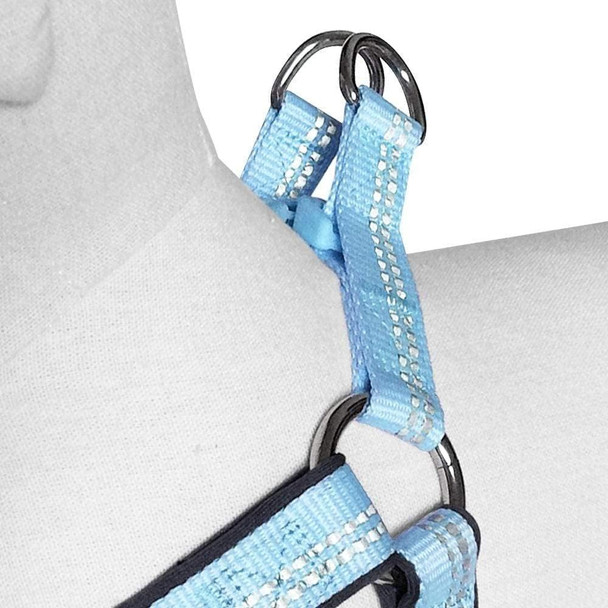 Blueberry Pet Soft & Safe 3M Reflective Neoprene Padded Adjustable Dog Collar - Orange Peel, Large, Neck 18-26