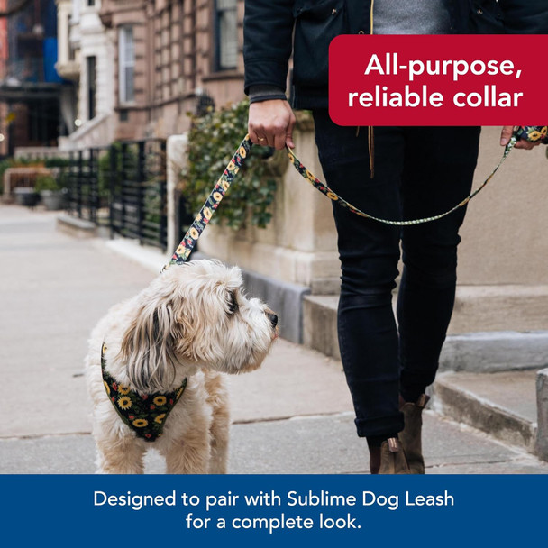 Coastal Pet K9 Explorer Reflective Adjustable Padded Dog Harness - Plush Chest Pad For Comfort - No-Pull Dog Harness For Small And Large Dogs - Fern - 1 X 26-38 Coastal Pet K9 Explorer Reflective Adjustable Padded Dog Harness - Plush Chest Pad For Comfort - No-Pull Dog Harness For Small And Large Dogs - Fern - 1 X 26-38