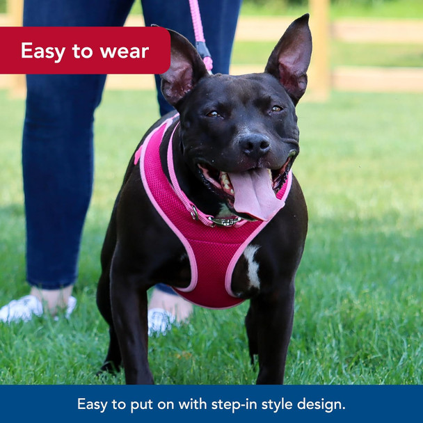 Coastal Pet - Life Is Good - Canvas Overlay Dog Collar, Yellow Good Vibes, 5/8 X 12-18 Coastal Pet - Life Is Good - Canvas Overlay Dog Collar, Yellow Good Vibes, 5/8 X 12-18