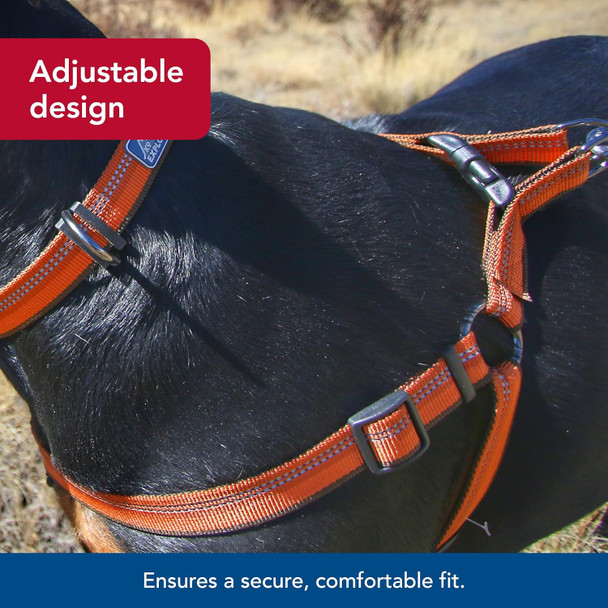 Coastal Pet - Li'L Pals Dog Slicker Brush With Coated Tips For Small Breeds & Puppies And Li'L Pals Double-Sided Dog Comb For Small Breeds & Puppies - Bundle