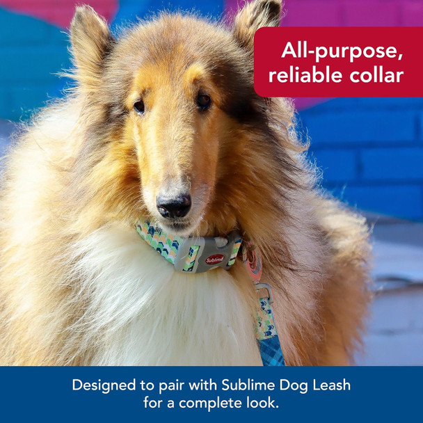 Coastal Pet Comfort Soft Wrap Adjustable Dog Harness - Comfortable Harness For Dog - Adjustable Fit - Easy Step-In Design - Breathable Fabric Mesh - Lime, 3/8 X 11-13 Coastal Pet Comfort Soft Wrap Adjustable Dog Harness - Comfortable Harness For Dog - Adjustable Fit - Easy Step-In Design - Breathable Fabric Mesh - Lime, 3/8 X 11-13