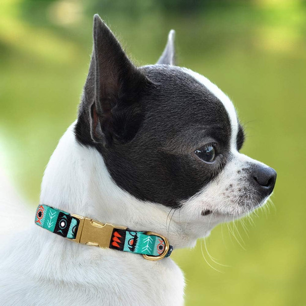 Collardirect Nylon Dog Collar With Metal Buckle Tribal Pattern Puppy Adjustable Collars For Small Dogs (Ethnic, Neck Fit 7-11)
