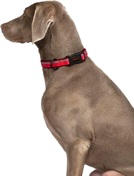 Halti Comfort Collar - Nylon And Neoprene-Padded Comfy Dog Collar, Reflective, Easy To Fit & Use. Colorful Two-Tone Design, Suitable For Large Dogs (Size L, Black)