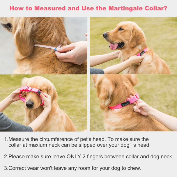 Martingale Collars For Dogs, Strong And Durable, Medium, Baby Pink, Heavy Duty Adjustable Nylon Dog Collar