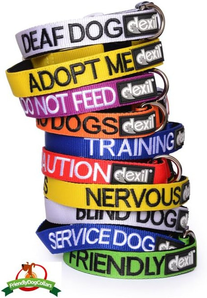 Limited Security Black Color Coded S-M L-Xl Neoprene Padded Dog Collar Prevents Accidents By Warning Others Of Your Dog In Advance (S-M)