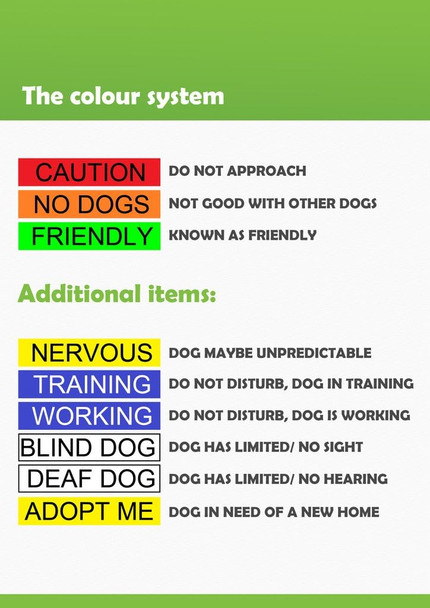 Nervous Yellow Color Coded L-Xxl Semi-Choke Dog Collar (Give Me Space) Prevents Accidents By Warning Others Of Your Dog In Advance