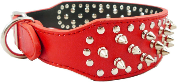 Dogs Kingdom Red Faux Leather Spiked Studded Dog Collar 2 Wide Pet Collar Pitbull Boxer Dogs Kingdom Red Faux Leather Spiked Studded Dog Collar 2 Wide Pet Collar Pitbull Boxer