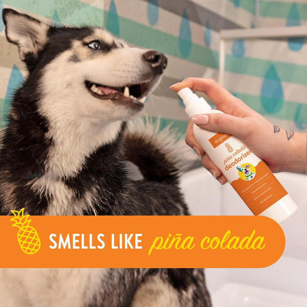 Deodorizer Spray For Pets 8Oz Long-Lasting Piña Colada Odor Eliminator For Dogs Gentle Water - Based Pet Deodorizing Spray
