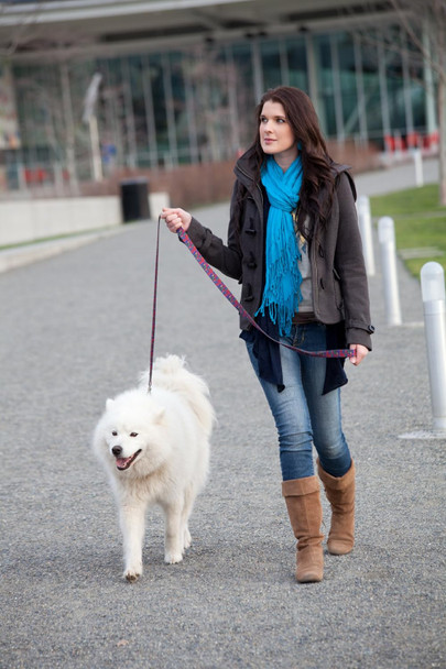 Eco Friendly Van Heemskerck Fashion Dog Leash, 5-Feet