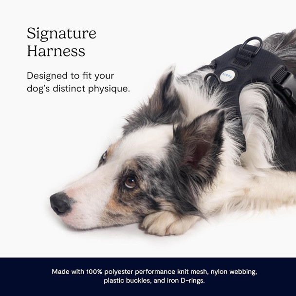 Fable Signature Harness For Dogs - Minimalist Large Black Dog Harness With Shock Absorber, Breathable Mesh, Adjustable Straps With Buckles For Flexibility, And 3 Leash Attachment Points