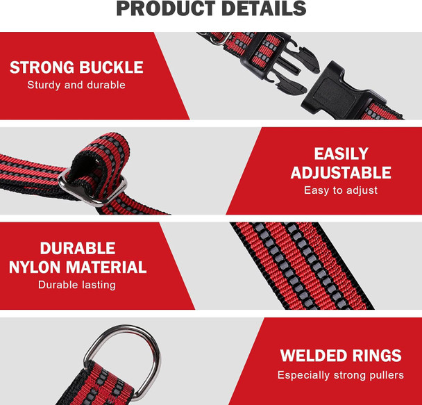 Basic Classic Luxury Padded Leather Dog Collar - Rust Proof Brass Strong Leather Collar Heavy Duty Alloy Hardware Best For Small, Medium, Large Dogs