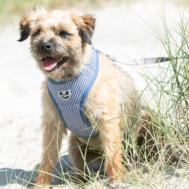 Hugo & Hudson Dog Harness No-Pull Anti Choke Adjustable Padded Pet Vest, Navy Striped, S