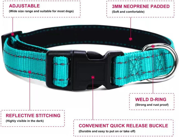Soft Neoprene Padded Dog Collar And Leash Set For Small Medium Large Dogs, Reflective Durable Nylon Dog Collar With 5Ft Leash Easy For Walking, Teal,Neck Fit 12.5-19.5’’ Soft Neoprene Padded Dog Collar And Leash Set For Small Medium Large Dogs, Reflective Durable Nylon Dog Collar With 5Ft Leash Easy For Walking, Teal,Neck Fit 12.5-19.5’’