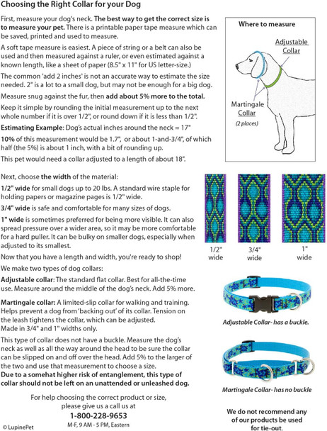 Lupine Dog Collar 3/4 Wide Aqua Adjusts 9-14 Long Lupine Dog Collar 3/4 Wide Aqua Adjusts 9-14 Long