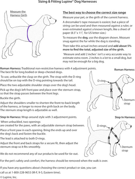 Lupinepet Originals 3/4 Rain Song 14-24 Adjustable Roman Dog Harness For Medium Dogs