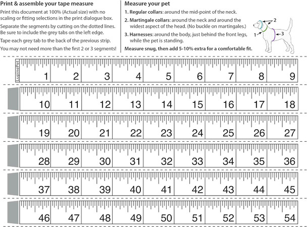 Lupinepet Originals 1 Turtle Reef 19-28 Step In Harness For Medium Dogs Lupinepet Originals 1 Turtle Reef 19-28 Step In Harness For Medium Dogs