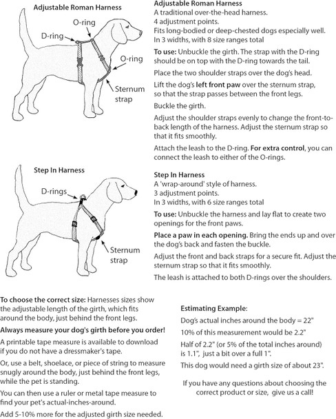 Lupinepet Originals 1 Rose Garden 6-Foot Padded Handle Leash For Medium And Larger Dogs Lupinepet Originals 1 Rose Garden 6-Foot Padded Handle Leash For Medium And Larger Dogs