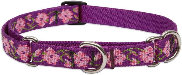Lupinepet Originals 3/4 Rose Garden 14-20 Martingale Collar For Medium And Larger Dogs Lupinepet Originals 3/4 Rose Garden 14-20 Martingale Collar For Medium And Larger Dogs