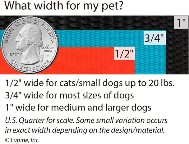 Dog Leash By Lupine In 1 Wide Blaze Orange 6-Foot Long With Padded Handle Dog Leash By Lupine In 1 Wide Blaze Orange 6-Foot Long With Padded Handle
