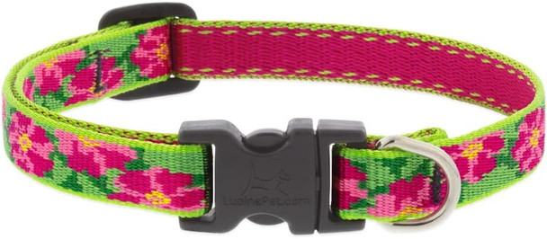 Lupine Small Dog Collar 1/2 Wide Petunias Adjusts From 8 To 12 Lupine Small Dog Collar 1/2 Wide Petunias Adjusts From 8 To 12